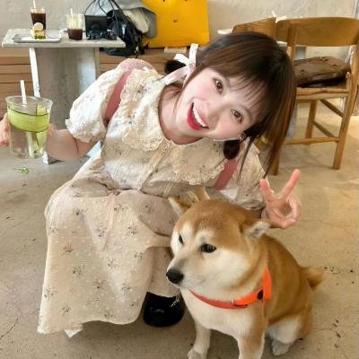 风月俏佳人